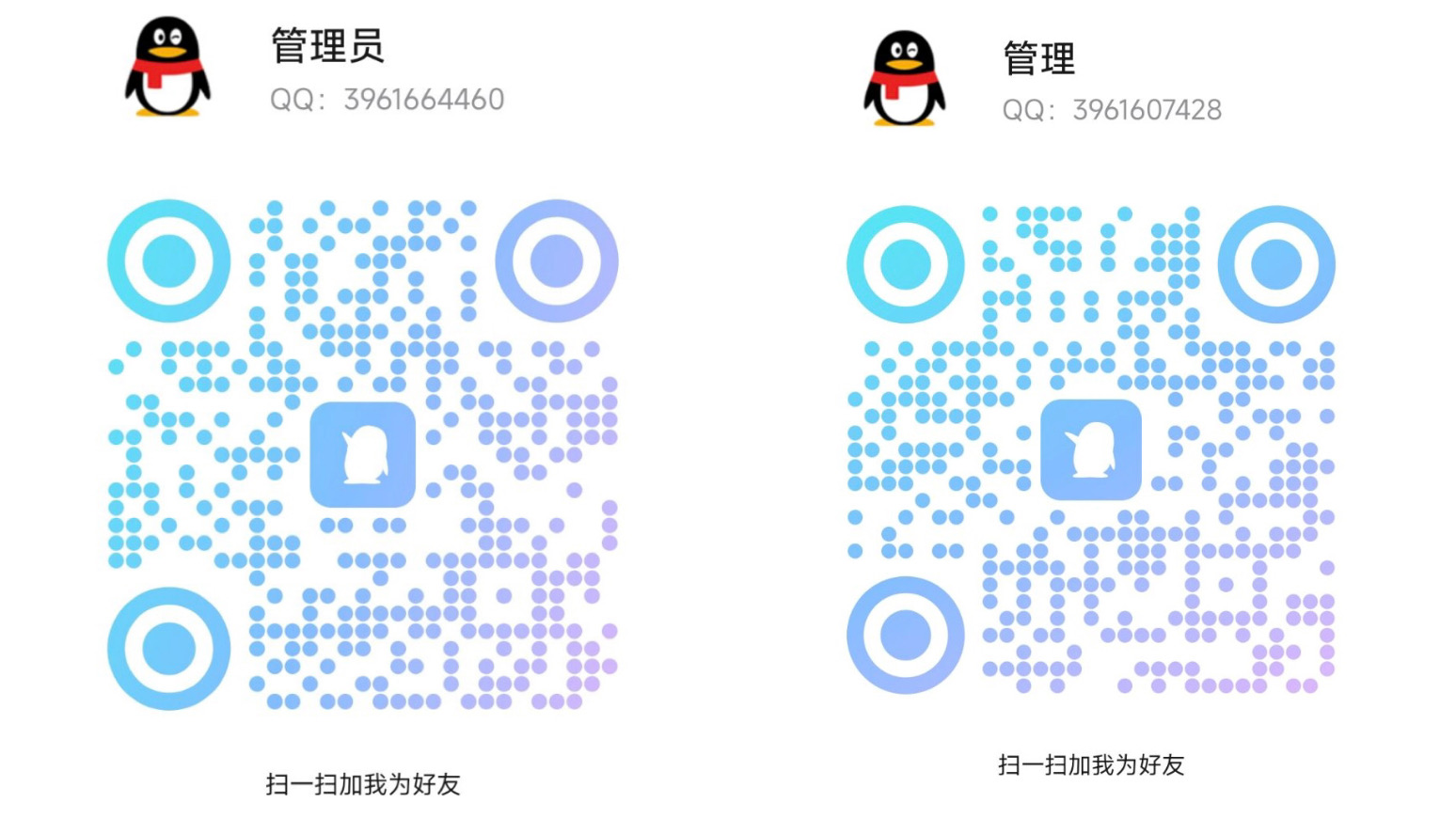 公告图片
